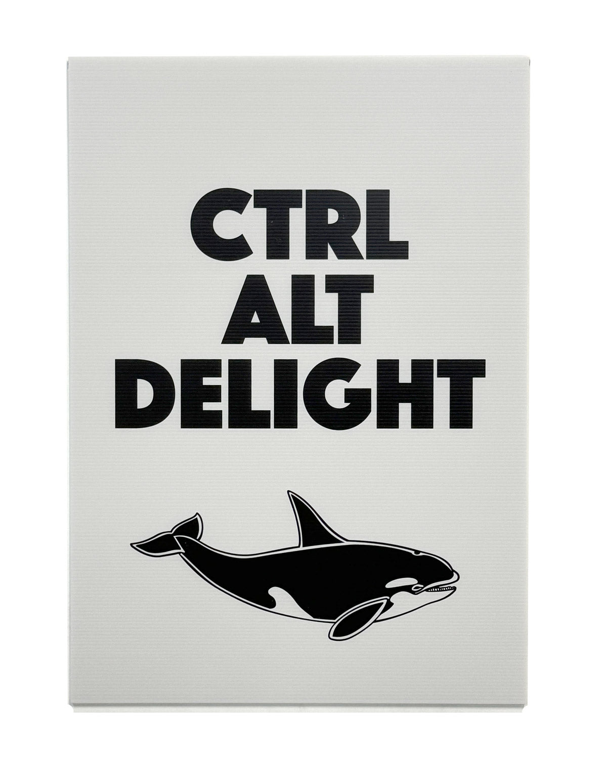 Ctrl Alt Delight